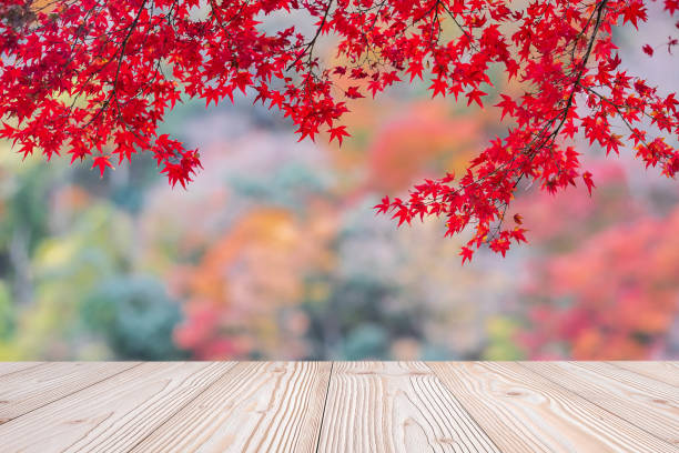istock Empty wood table mockup on red maple leaves background in the garden with copy space for text, Mock up for your product display and montage in autumn season, thanksgiving and Halloween holiday concept 1272057656