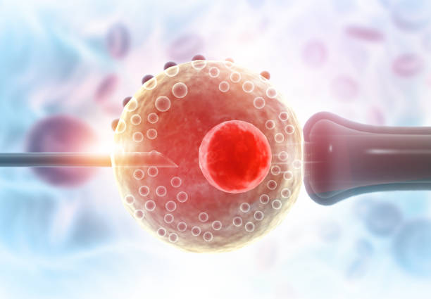 istock In vitro fertilization IVF. fertility treatment 1272058177