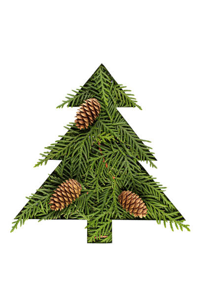 istock Chrristmas tree made of coniferous tree branches on white background 1272058270