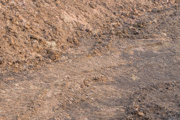 istock Surface of pile of loamy soil. 1272064726