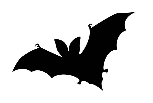 ilustrações, clipart, desenhos animados e ícones de ícone vetorial da silhueta do morcego - bat cartoon halloween wing