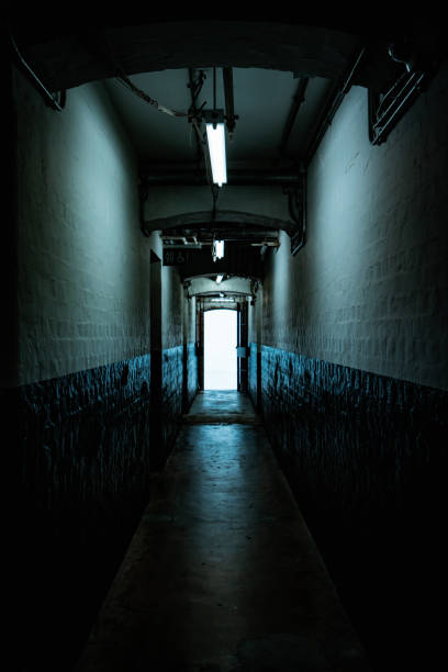 istock Interior of an abandoned building 1272067917