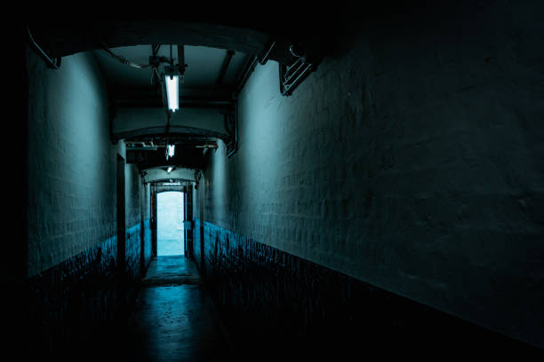 istock Interior of an abandoned building 1272067918