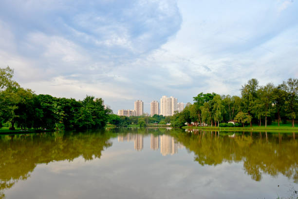 Viewing the Jurong Estate from the Jurong Lake Gardens