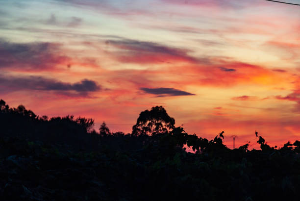 istock The sunset of yesterday . 1272076636