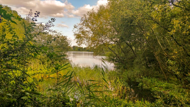 istock Coate Water Park Swindon Wiltshire 1272077984