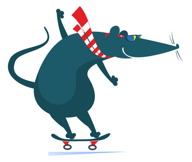 Cartoon rat or mouse a skateboarder illustration Cartoon rat or mouse rides on the skateboard isolated on white opossum silhouette stock illustrations