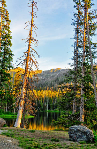 istock Beautiful Small Lake-Yellowstone, Wyoming 1272087647