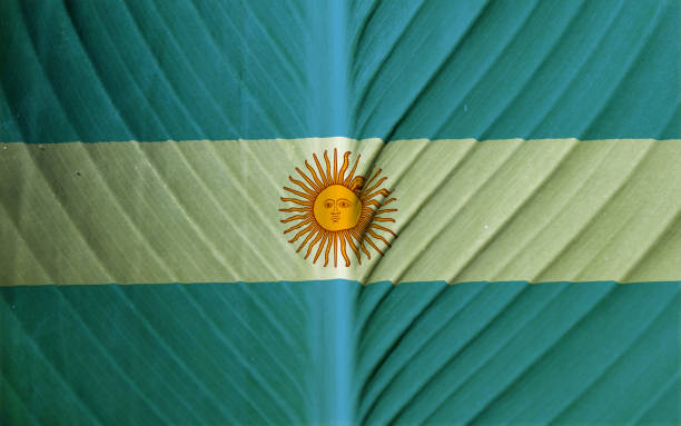 Argentina flag on texture background. Background for greeting cards for Argentina public holidays. Columbus Day, Flag Day, Gay Parade, Veterans Day, Independence Day, Beer Fest, San Martin Day. bandera argentina sobre fondo de textura. antecedentes para tarjetas de felicitación para días festivos en argentina. día de colón, día de la bandera, desfile gay, día de los veteranos, día de la independencia, oktoberfest, día de san martín.