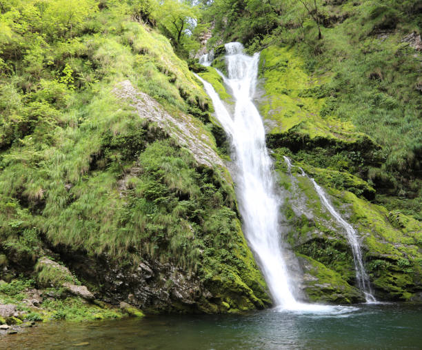 istock uncontaminated environment surrounded by nature and a cascade of 1272093839