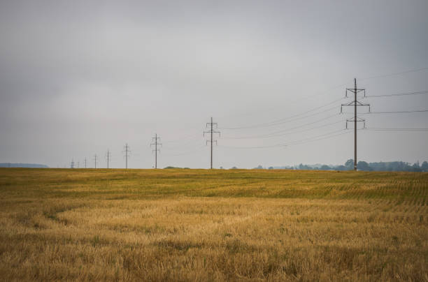 Free Stock Photo of Large Field With Distant Power Lines | Download ...