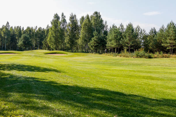 istock Summer landscape golf course panorama and background 1272099735