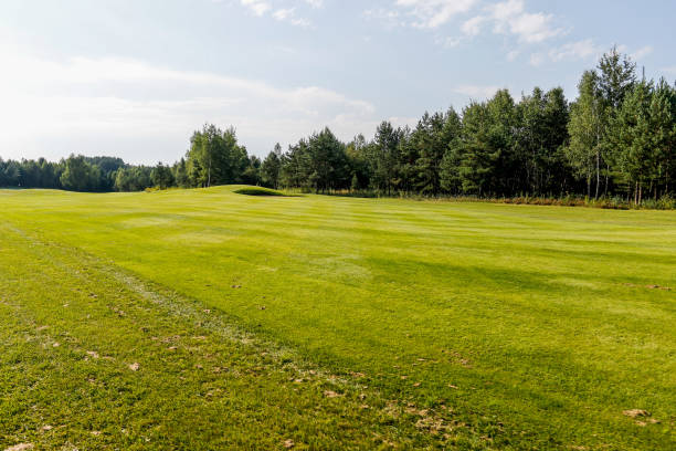 istock Summer landscape golf course panorama and background 1272099775