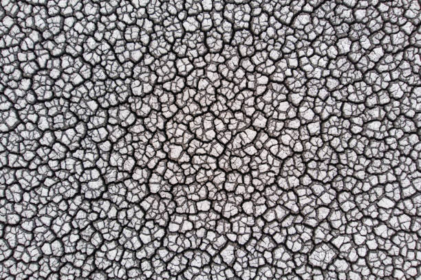 istock Crackled earth texture of dry lake 1272100075
