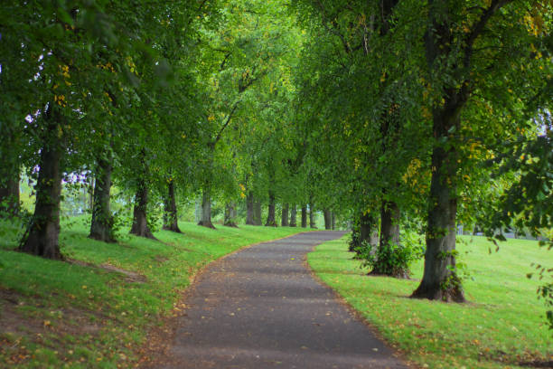 inverleith park, édimbourg - 2232 photos et images de collection