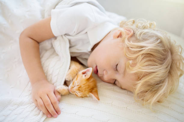 子猫と一緒に寝ている男の子。子供と猫。 - child house dog bed ストックフォトと画像