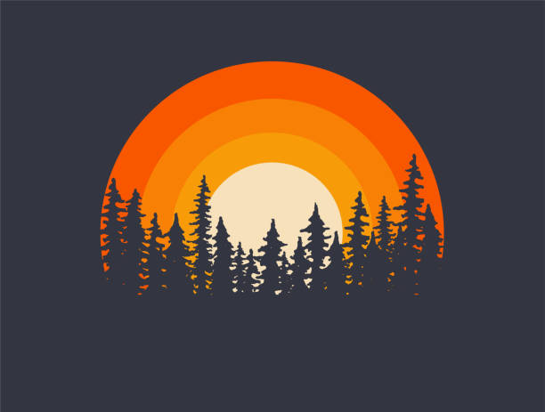 背景に夕日のある森の風景の木のシルエット。tシャツやポスターデザインのイラスト。ベクトルの図 - 林 イラスト点のイラスト素材／クリップアート素材／マンガ素材／アイコン素材