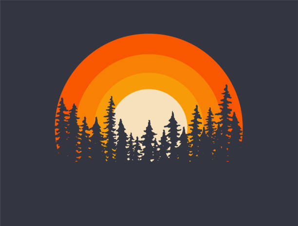 Vintage Sunset Trendy Trees Silhouette Conifer T-Shirt Vintage Sunset Trendy Trees Silhouette Conifer T-Shirt