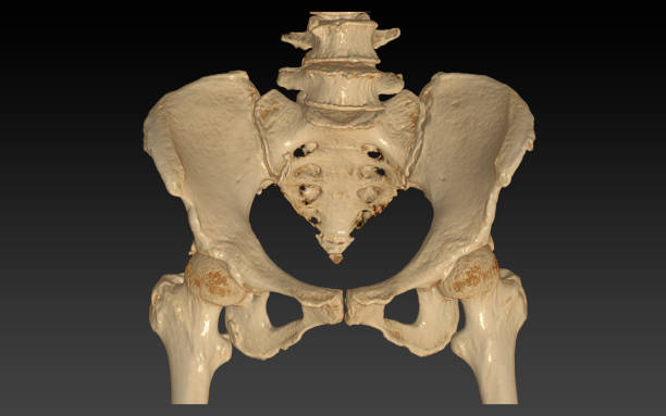 黒い背景に分離された両方の股関節3dレンダリング画像を持つ骨盤骨のctスキャン。クリッピングパス。 - cat scan pelvis hip human spine ストックフォトと画像