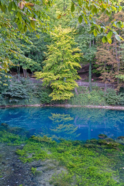istock Blue pot in Blaubeuren, spring of the river Blue 1272114216