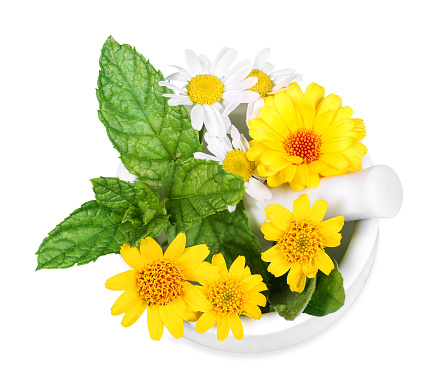 Homeopathy with medicinal plants such as arnica, calendula and chamomile.
