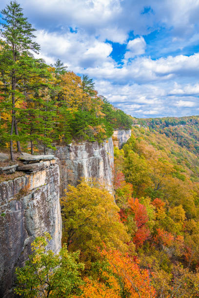 istock New River Gorge, West Virginia, USA 1272114542
