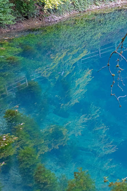 istock Blue pot in Blaubeuren, spring of the river Blue 1272117383