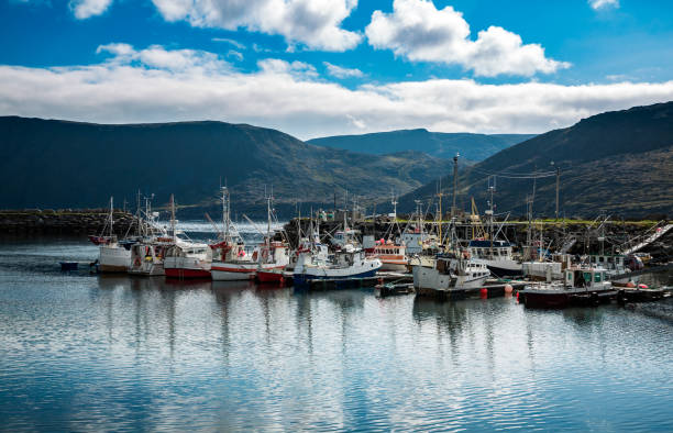 istock Pier fishing vessels 1272118571