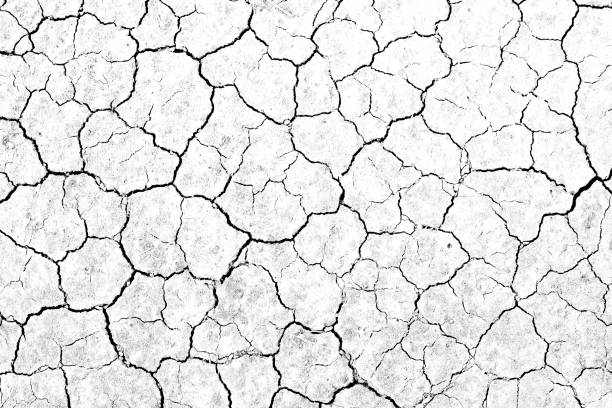 テクスチャ土壌乾燥クラック背景パターン自然の水不足の背景パターン白黒古い壊れた。 - 痩せ地 ストックフォトと画像