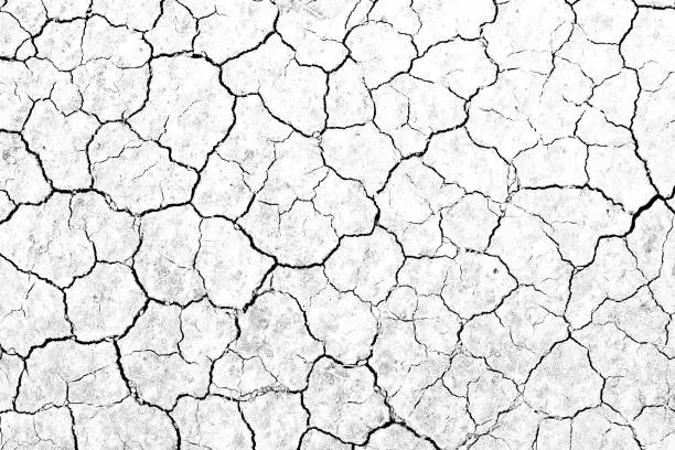 Photo of Texture soil dry crack background pattern of drought lack of water of nature white black old broken.