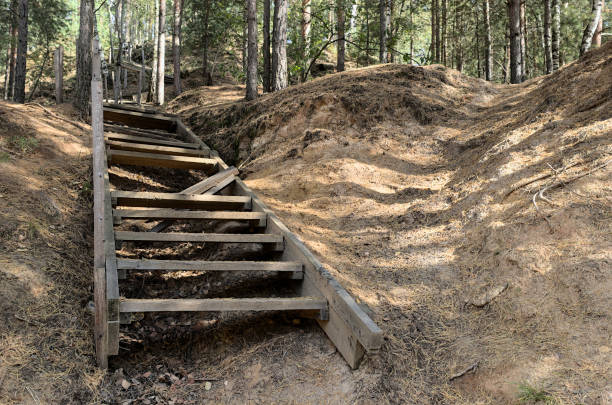 Broken wooden stairs on the forest hill