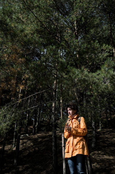 istock Woman is walking in autumn pine forest 1272121067