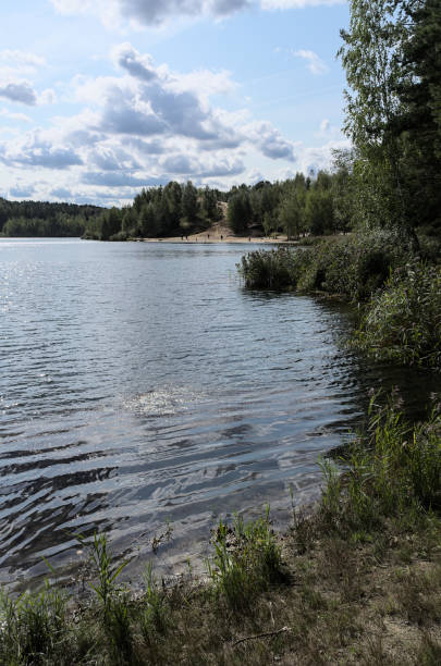 istock Forest lake in autumn 1272121137