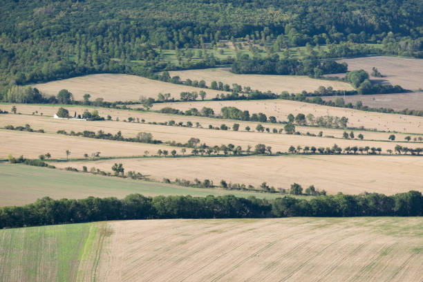 istock Green fields an meadows and mountains view before harvest. Aerial drone view. Summer or autumn time. Road through cultivating the land in the countryside on a summer evening with blue sky background. 1272122399