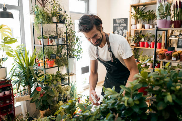 istock Gardener ,male florist working with flowers 1272123364