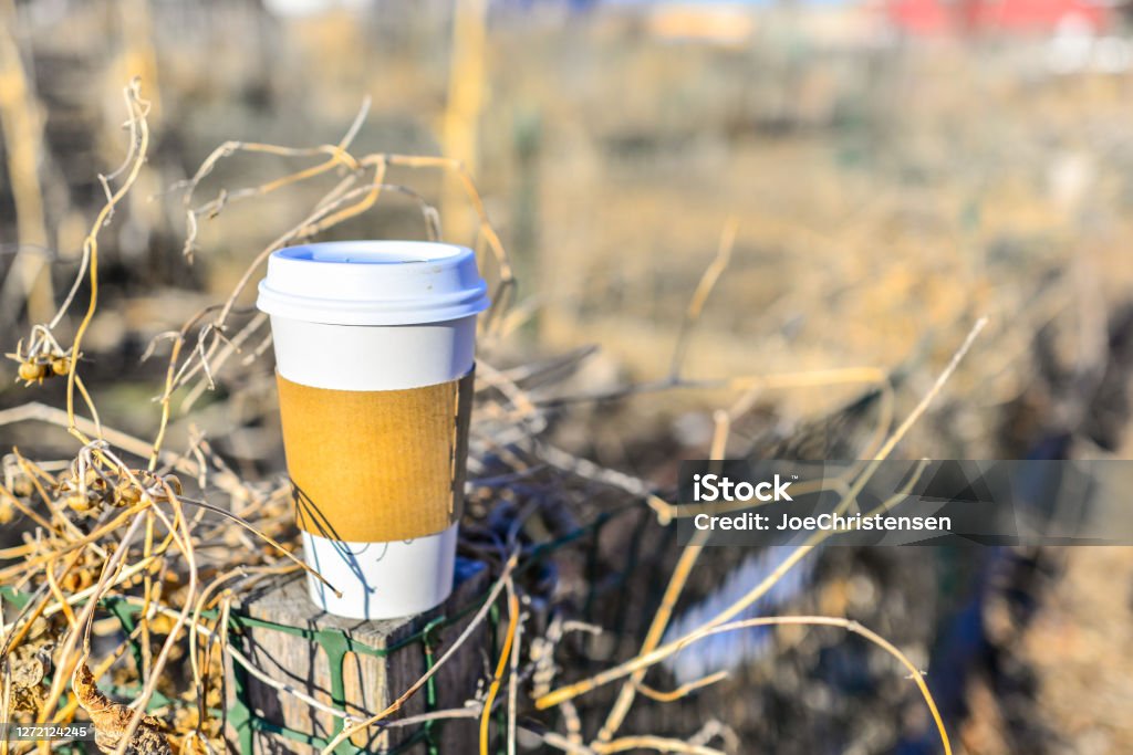 To Go Coffee Cup Outdoors in Fall Footpath Stock Photo