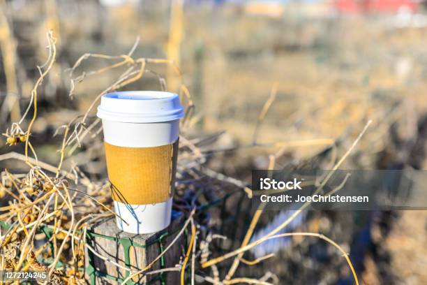 To Go Coffee Cup Outdoors In Fall Stock Photo - Download Image Now - Footpath, Autumn, Caffeine