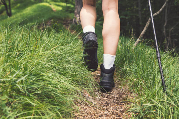 istock Unrecognizable female hiker walking outdoor 1272124309