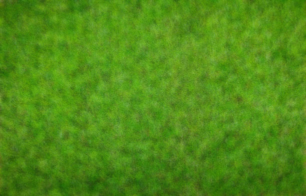 istock blur background of Green Grass, Dotted Green Grass pattern and texture for wallpaper. green abstract natural background with copy space for text 1272125887