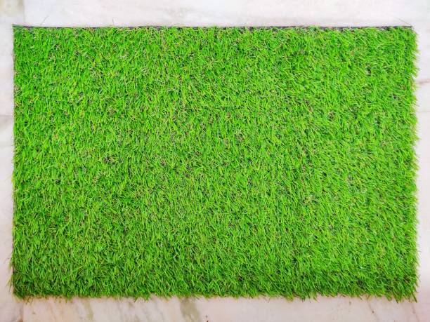 istock Green Grass Door mat, Medium size Grass type Door mat in white background, Welcome pad, Selective focus, Welcome conceptual background. 1272126097
