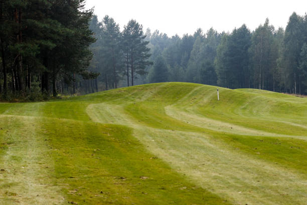 istock Summer landscape golf course panorama and background 1272128392