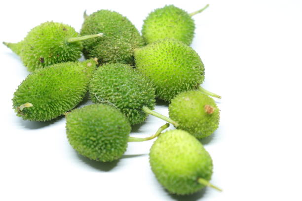 istock Fresh green colorful spiny gourd or teasel gourd vegetables on white background 1272128535