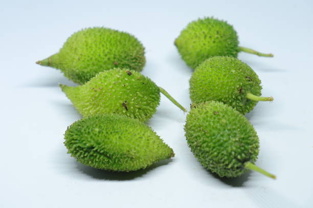 istock Fresh green colorful spiny gourd or teasel gourd vegetables on white background 1272128562