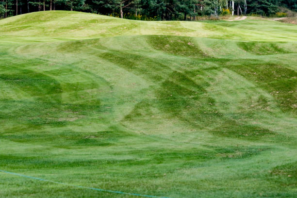 istock Summer landscape golf course panorama and background 1272128620