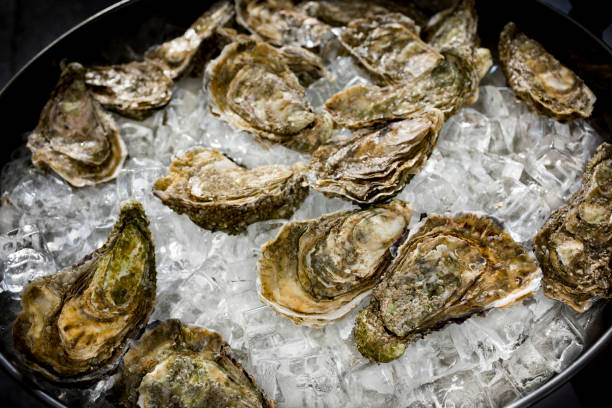 istock Fresh oysters on market 1272130853