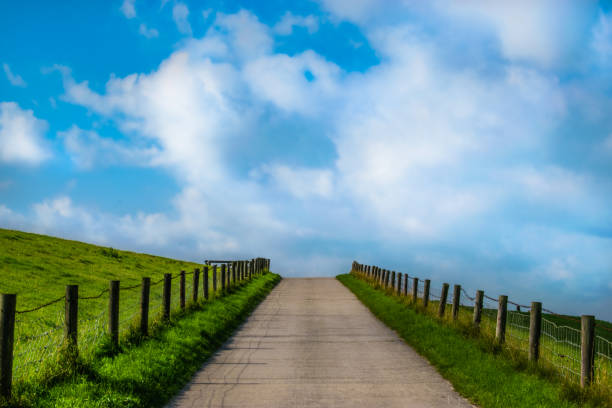 Landscape and nature photography