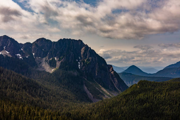istock Mount Rainier National Park 2020 #11 1272133891