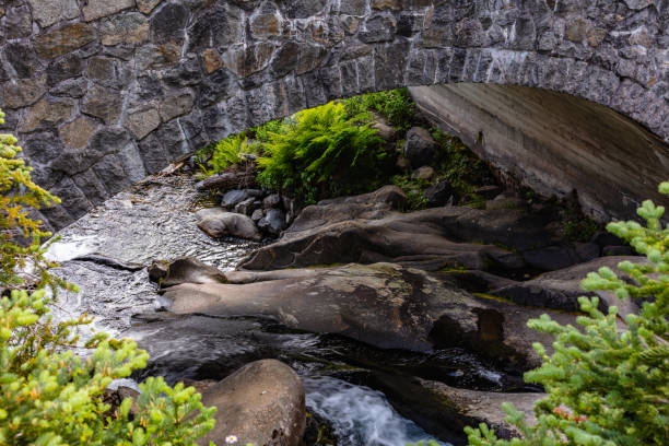 istock Mount Rainier National Park 2020 #33 1272133936