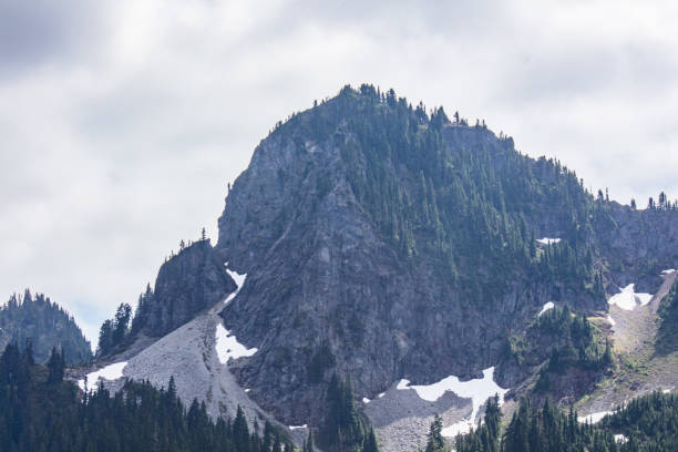 A collection of photos from Mount Rainier National Park, WA