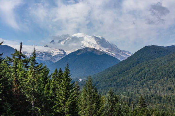 istock Mount Rainier National Park 2020 #4 1272135101